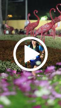 BIB:  <button type="button" onclick="openModal(27589987)" class="btn btn-primary btn-sm float-right" data-toggle="modal" data-target=".modal-high-quality">
                <i class="fa fa-download"></i> Download
                </button>